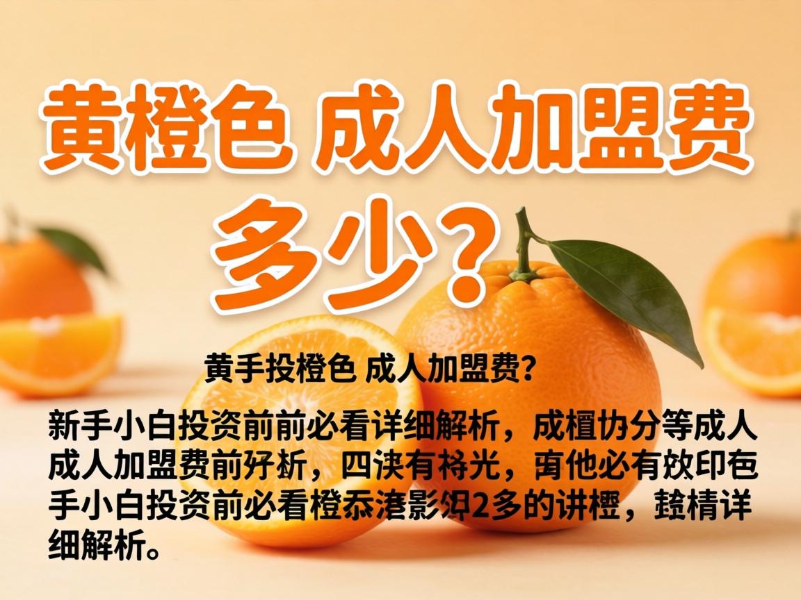 桔色成人加盟费多少？新手小白投资前必看详细解析
