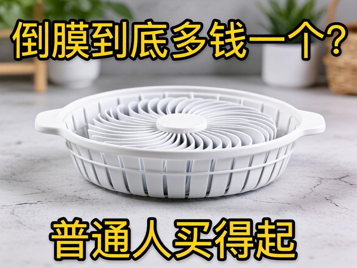 倒模到底多少钱一个?普通人买得起吗? 倒模到底多少钱一个?普通人买得起吗?