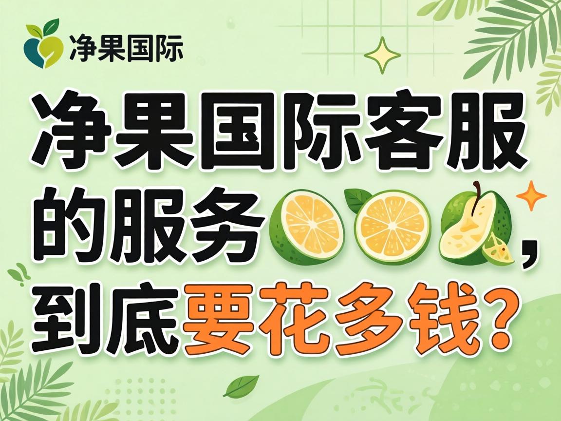 净果国际客服的服务到底要花多少钱？