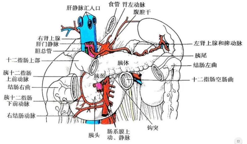 小便时有灼热感,盆底肌训练要不要先停-男性盆底肌训练社区_凯格尔运动与PC肌怎么练 - P动