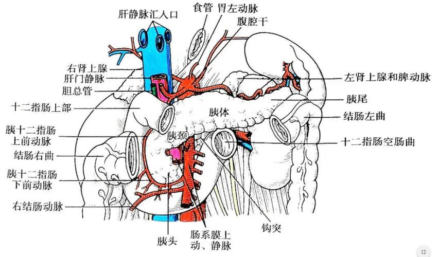 小便灼热感：先说结论