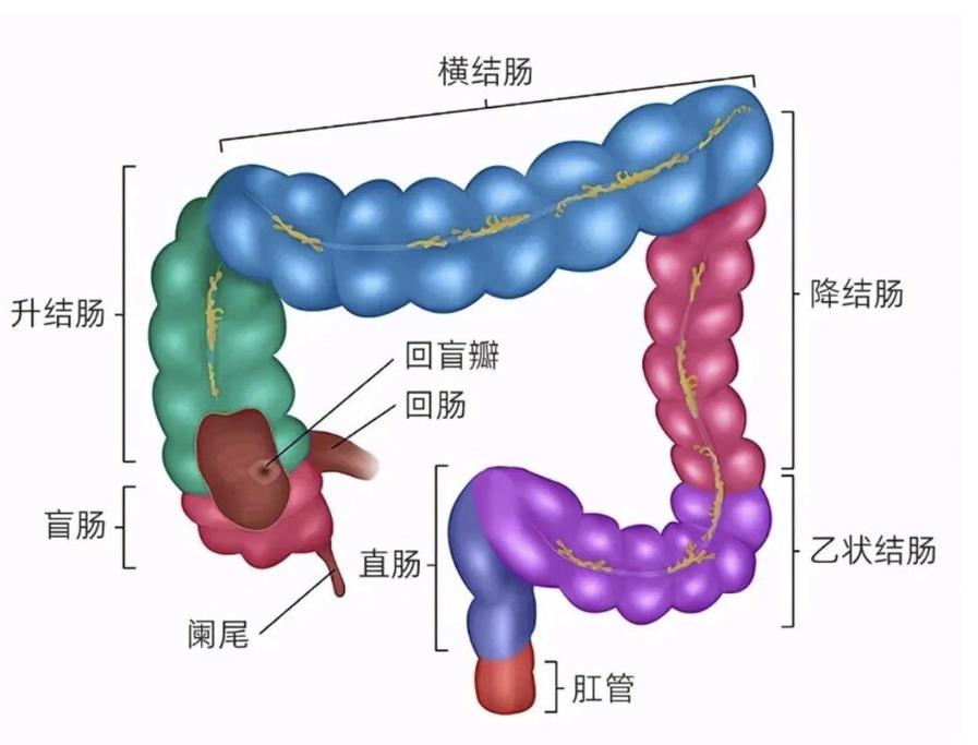 小便灼热感：可以先观察的情况怎么处理