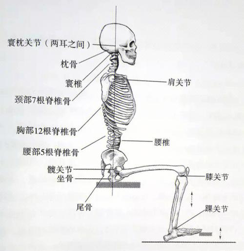 经常抱孩子上下楼，腹压对盆底肌影响大吗-男性盆底肌训练社区_凯格尔运动与PC肌怎么练 - P动