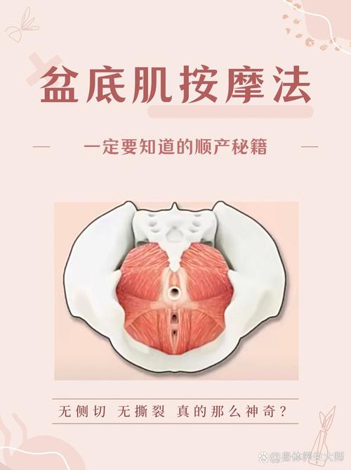 健身教练教的盆底肌练法能照做吗:第三个差异:不能堆次数