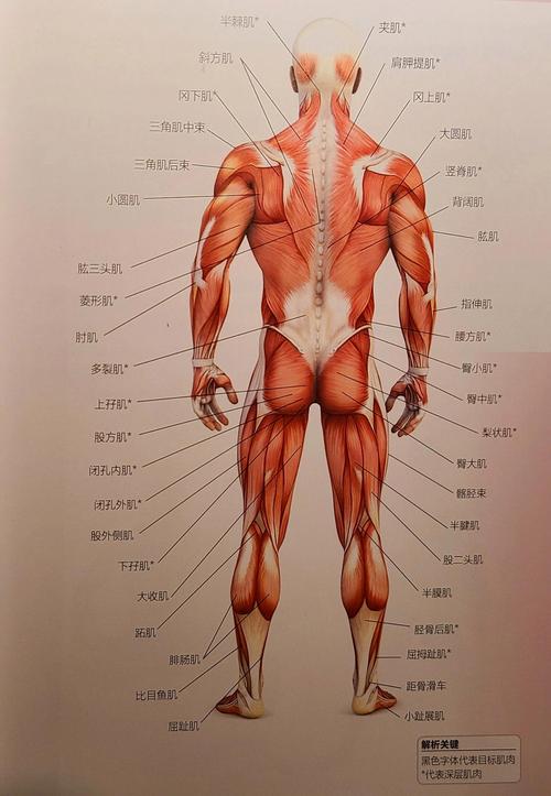 内裤湿痕:哪些情况要先查感染