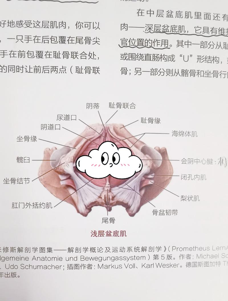 停练退步:两种「退步」要分开