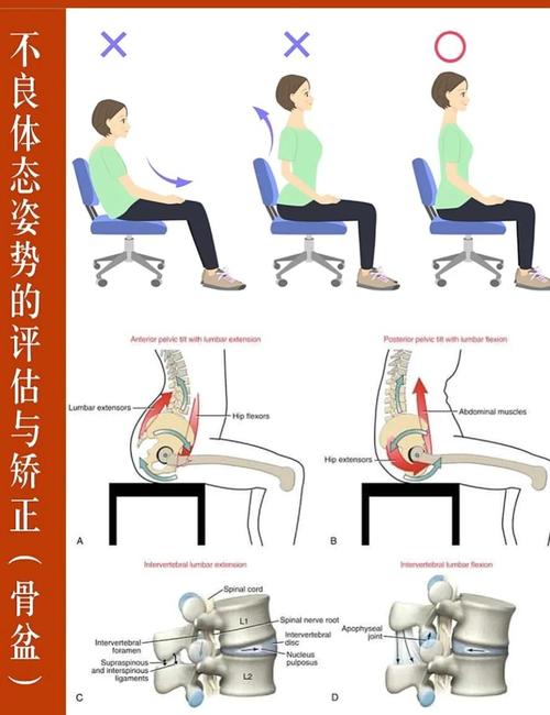 骑电动车颠簸 盆底肌:先分清震动和压迫