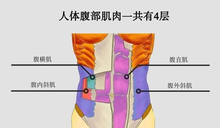 盆底肌耐力:训练方向怎么定