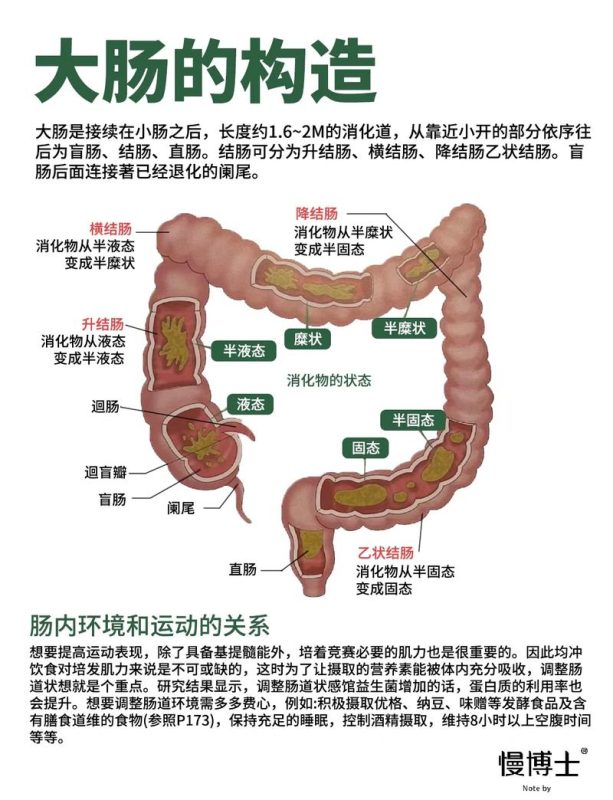 偶尔控制不住排气,是盆底肌松了吗?先分清 3 种情况-男性盆底肌训练社区_凯格尔运动与PC肌怎么练 - P动