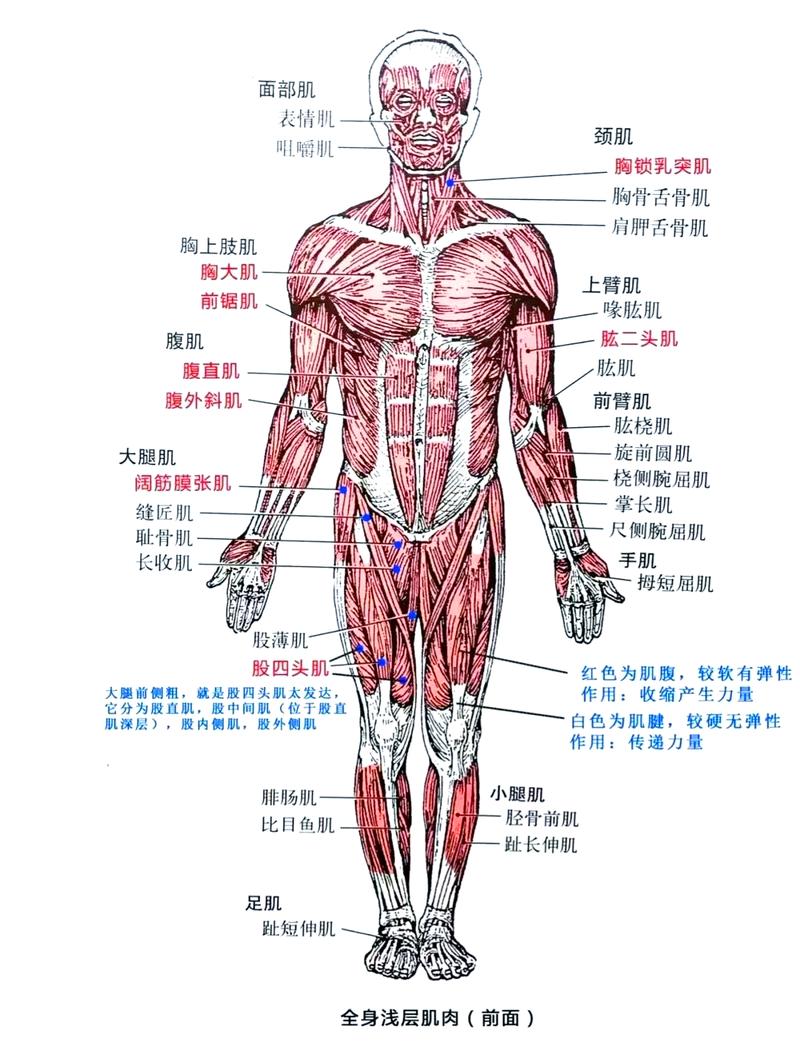 控制不住排气:训练到底有没有用