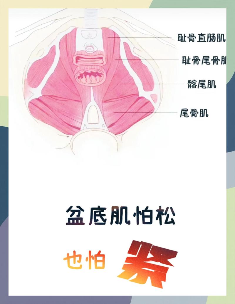 凯格尔收缩时夹紧屁股对不对：改不掉怎么办