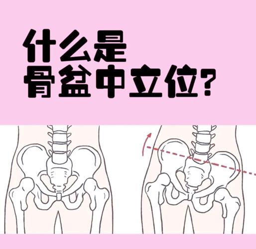开会一坐两小时,憋着不去厕所会伤盆底肌吗-男性盆底肌训练社区_凯格尔运动与PC肌怎么练 - P动