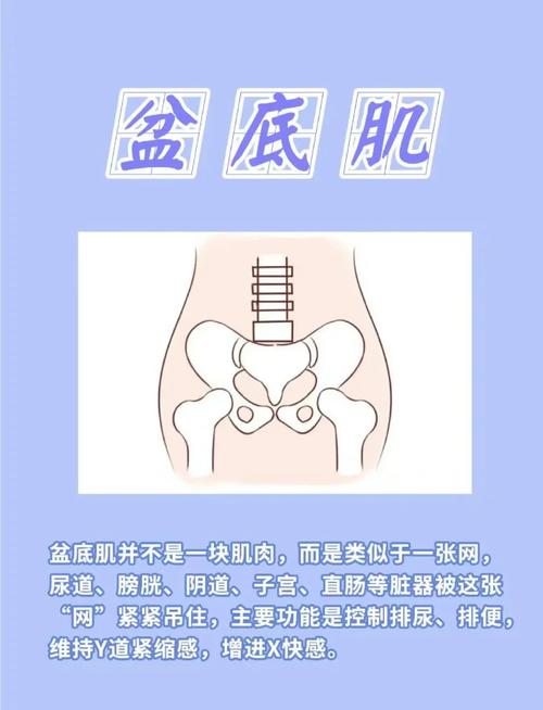 训练见效个体差异:先说结论