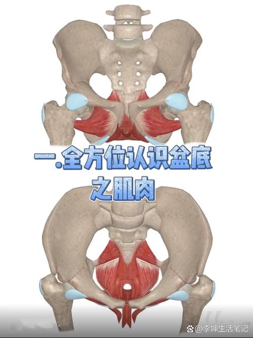 凯格尔 男性 照练:先把「女性动作」这个印象拆掉