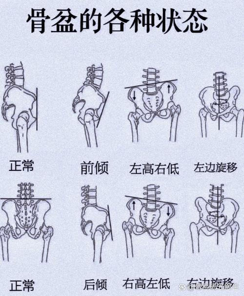 上夜班的人练盆底肌,作息乱了多久能看到变化-男性盆底肌训练社区_凯格尔运动与PC肌怎么练 - P动