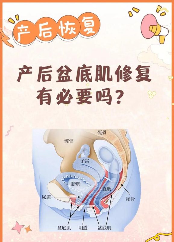 睡着以后盆底肌还会自己收缩吗?夜间状态说明-男性盆底肌训练社区_凯格尔运动与PC肌怎么练 - P动