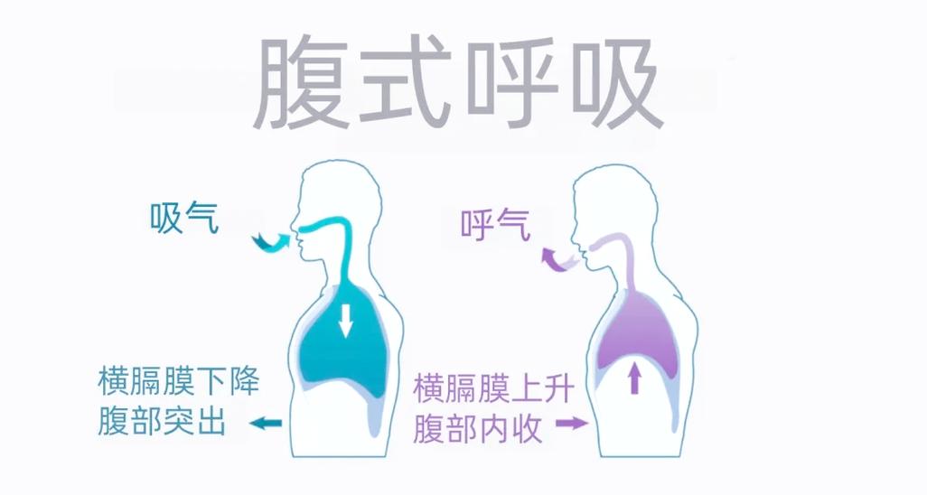 伴侣担心训练反效果:哪些担心是有道理的