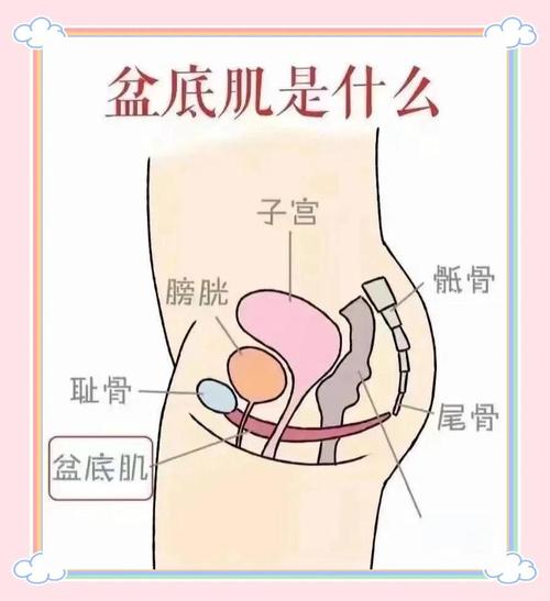 盆底肌收缩时左右感觉不一样,一侧更明显正常吗-男性盆底肌训练社区_凯格尔运动与PC肌怎么练 - P动