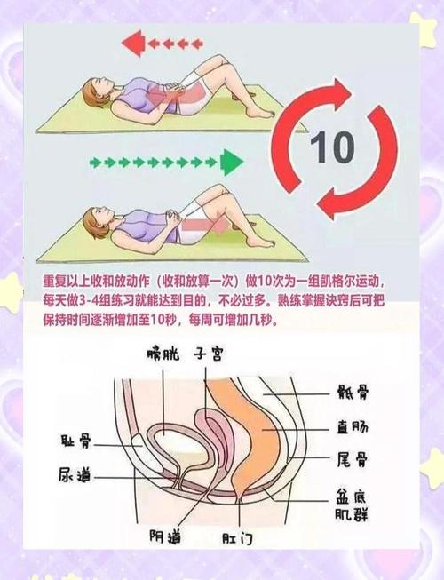 盆底肌怎么判断练过量了?4 个常见信号-男性盆底肌训练社区_凯格尔运动与PC肌怎么练 - P动