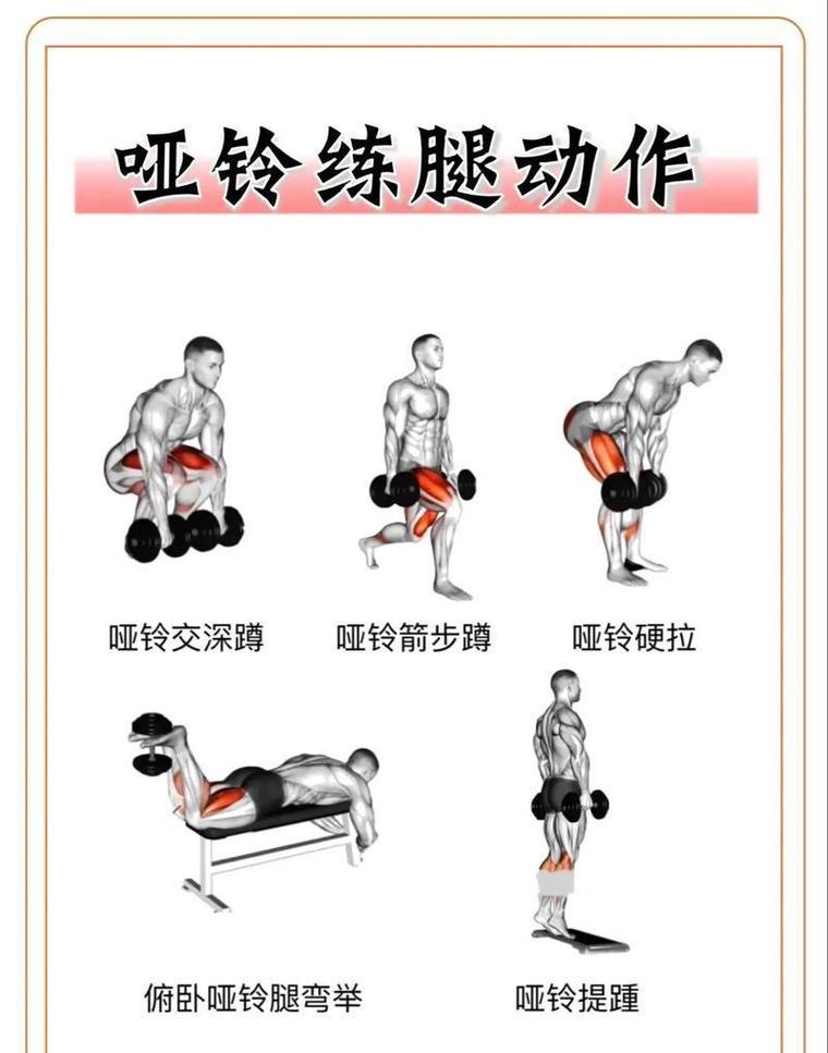 每周三次训练安排:间隔日要不要做点什么