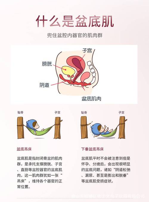 康复师与医生建议冲突：不要自己折中