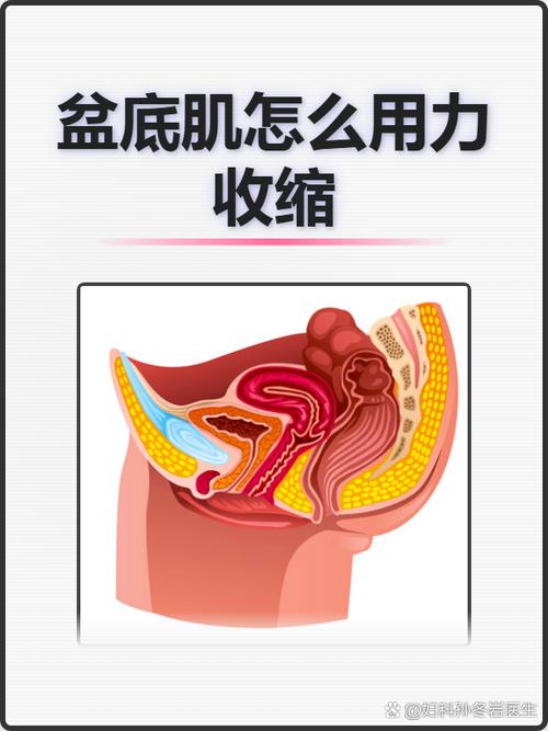收缩前放松:一次训练怎么排