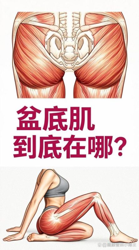 盆底肌训练有没有用?4 个可以自己观察的信号-男性盆底肌训练社区_凯格尔运动与PC肌怎么练 - P动