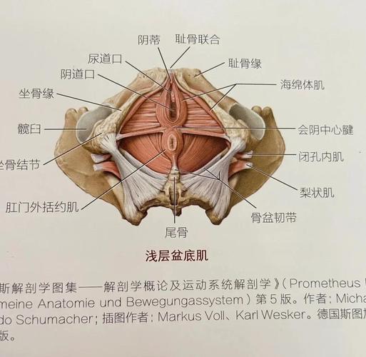 练到酸才有效：什么程度的酸该警惕