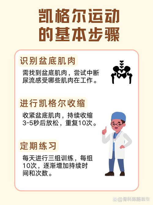一次练完还是分三次练?看肌肉的恢复节奏-男性盆底肌训练社区_凯格尔运动与PC肌怎么练 - P动