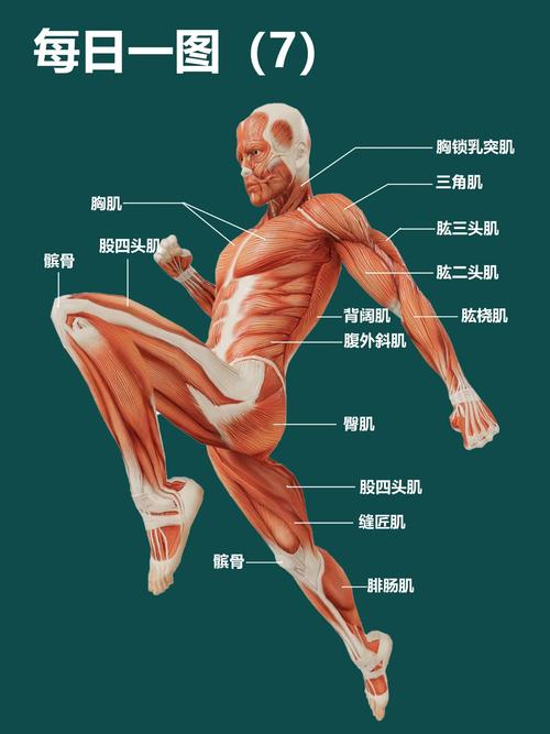 大便失禁边界:两周的失控日记怎么写