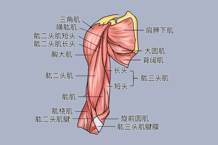 单次训练时长:怎么定自己的时长