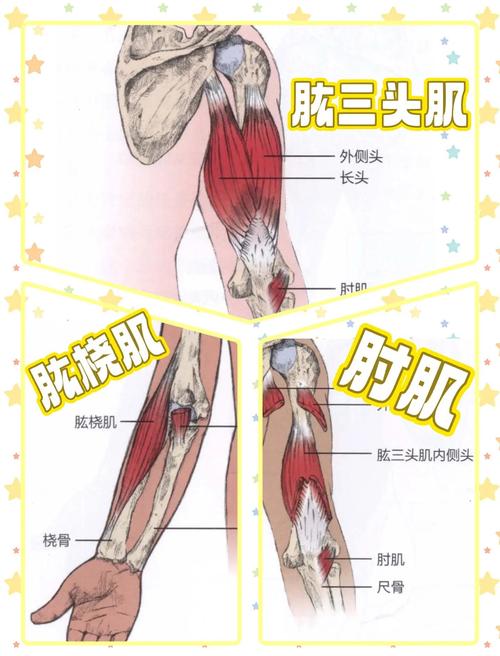 盆底肌练与不练的差别,有对照研究能说明吗-男性盆底肌训练社区_凯格尔运动与PC肌怎么练 - P动