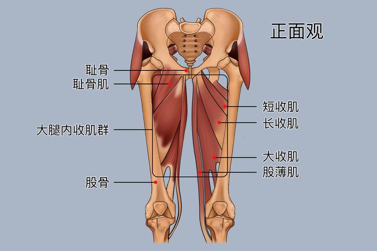 训练减载周:什么时候该怀疑不是训练的问题
