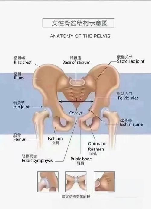 排尿费力:两种相反的原因