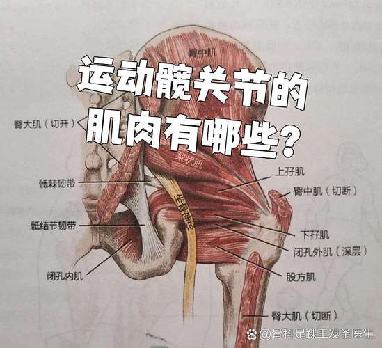 泌尿科医生对盆底肌训练怎么建议？3 个说法整理-男性盆底肌训练社区_凯格尔运动与PC肌怎么练 - P动