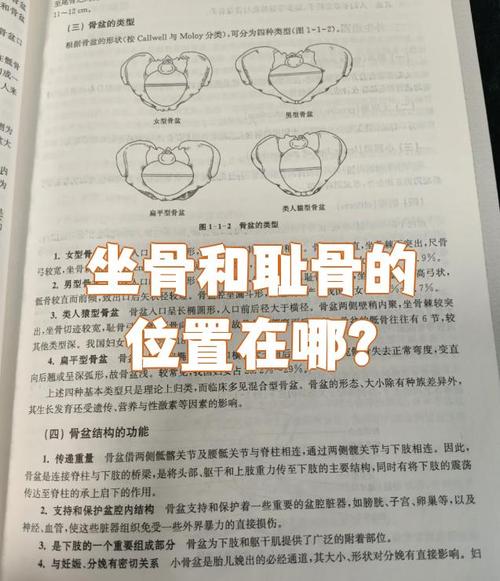 盆底肌训练期每天喝水两三升，尿频的 3 个原因-男性盆底肌训练社区_凯格尔运动与PC肌怎么练 - P动