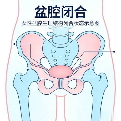 尿线变细还分叉,和盆底肌有关吗?先分清 4 种情况-男性盆底肌训练社区_凯格尔运动与PC肌怎么练 - P动